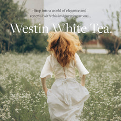 Graphic noting compatibility with Westin Home Diffuser scent machine