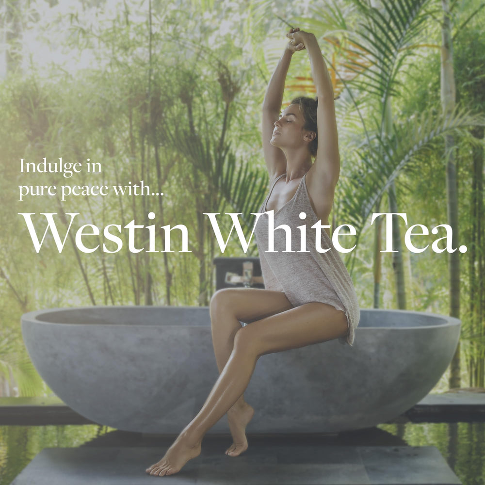 Open packaging showing one White Tea Room Diffuser capsule