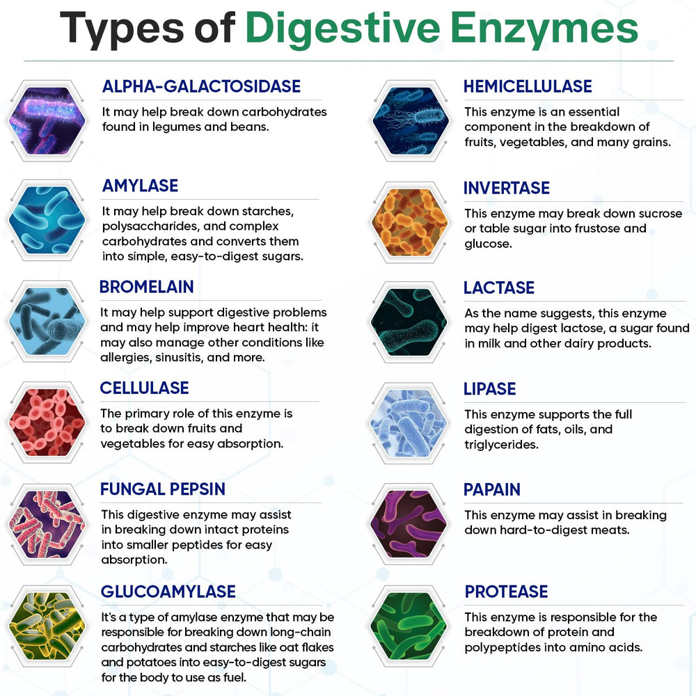 Ingredient list including amylase, bromelain, papain and lactase