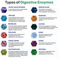 Ingredient list including amylase, bromelain, papain and lactase