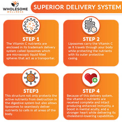 Immune support and antioxidant benefits of liposomal vitamin C