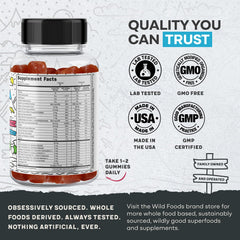 Ingredient highlights featuring acai, turmeric and spinach in gummies