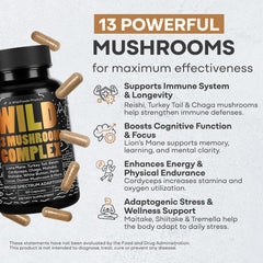 Close-up of Lions Mane mushroom used in the supplement