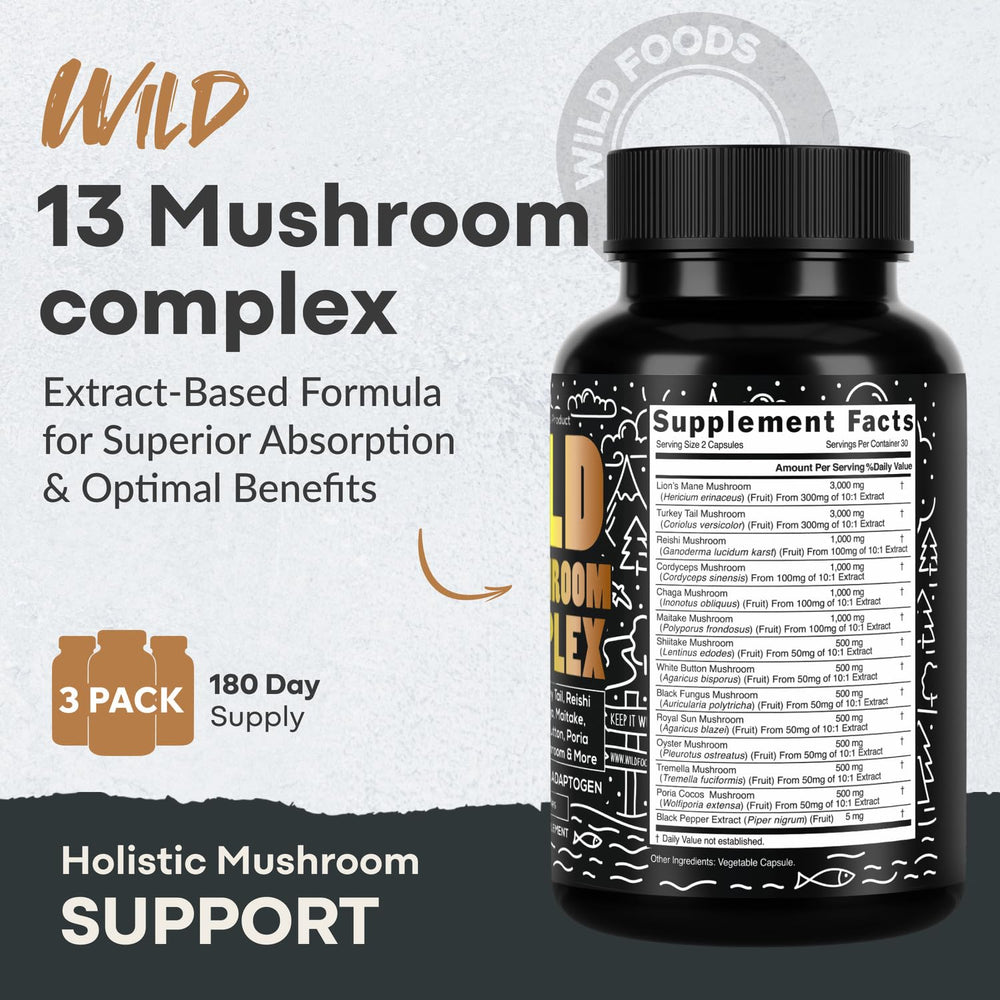 Assorted organic mushrooms including Reishi, Turkey Tail, Chaga and Shiitake