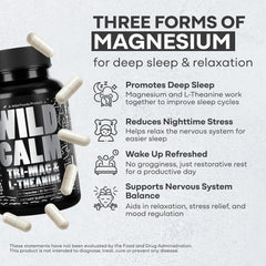 Graphic illustration of three magnesium forms: glycinate, malate, taurate