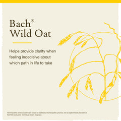 Wild Oat flower remedy bottle with packaging