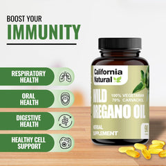 Illustration of immune support and digestive health benefits