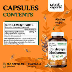 Close-up of cordyceps capsules