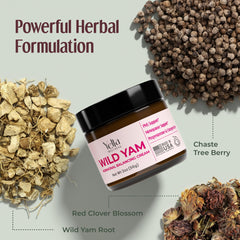 Packaging and branding of Wild Yam Cream with Organic Botanicals