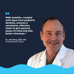 Willo Berry Splash logo