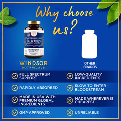 USA-made Windsor Botanicals Lactobacillus Salivarius probiotic bottle