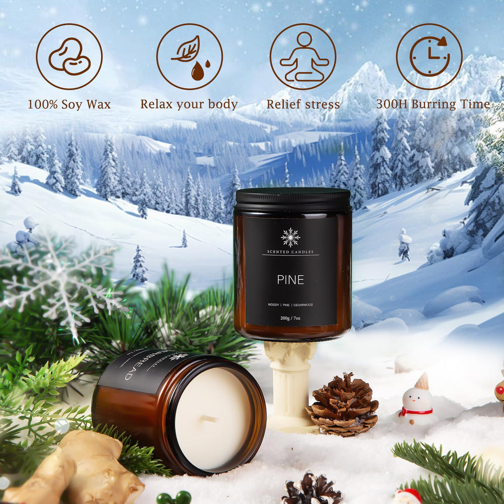 Cinnamon Apple scented candle from the winter 6-pack