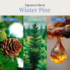 Close-up of Winter Pine Aroma Oil label