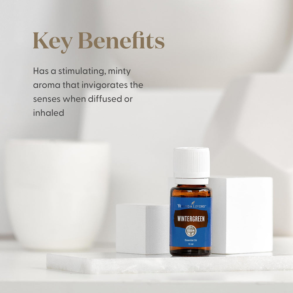 Diffuser scene showcasing Wintergreen aroma