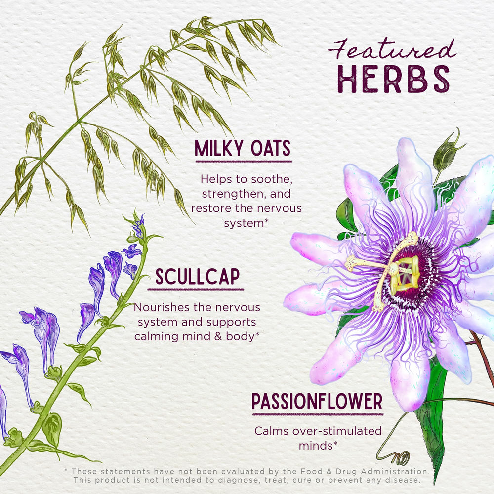 Scullcap herb used in the calming tincture