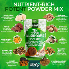 Mushroom powder in a scoop ready for measuring