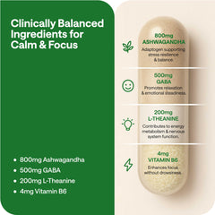 Ingredients display showing GABA, L-theanine and B6