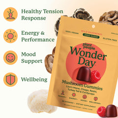 Destress and energy gummies in wild raspberry flavor