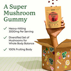 Immune support image featuring lion’s mane, cordyceps, and chaga