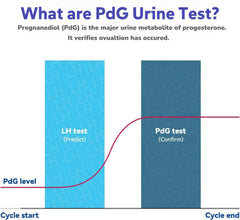 Close-up of a single PdG urine test strip