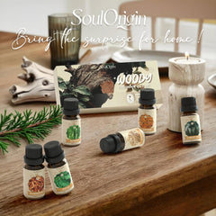 Layout of the Woody Essential Oils Set packaging and bottles