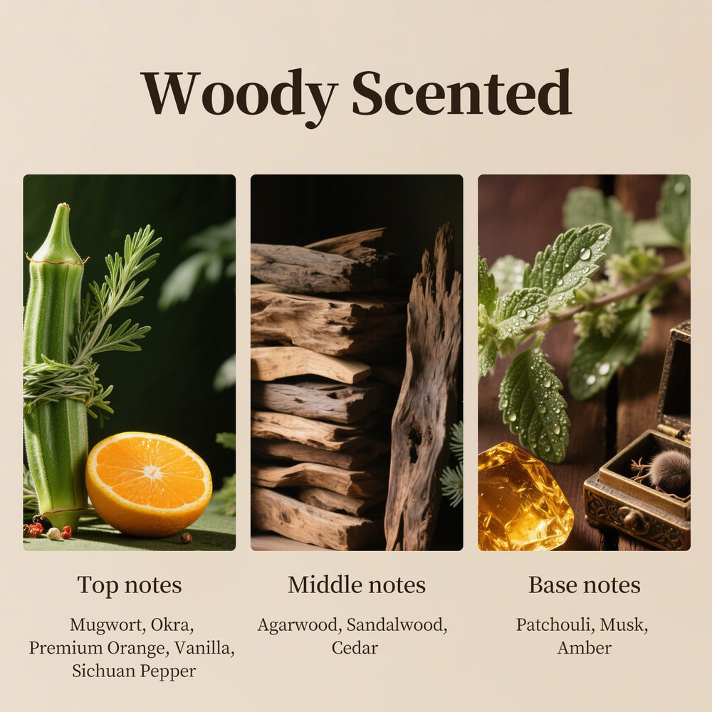 Ultrasonic diffuser emitting Woody Scent in a contemporary space