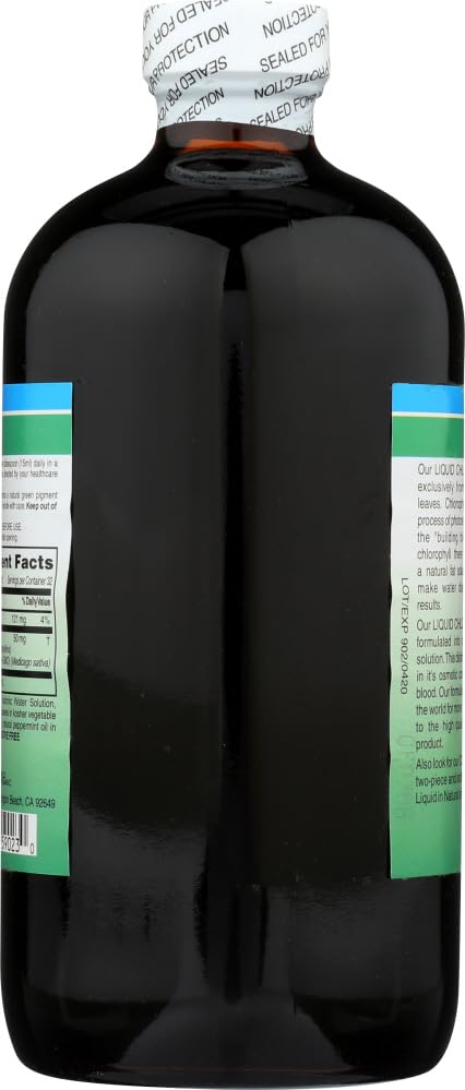 Ingredients list for World Organic Chlorophyll Mint, 16 fl oz