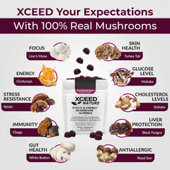 Ingredient blend featuring Lion's Mane, Cordyceps, Reishi and more