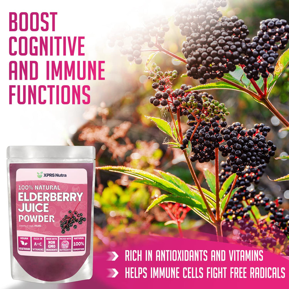 Back label of XPRS Nutra Elderberry Juice Powder showing ingredients