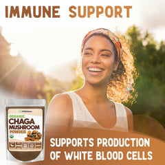 Raw organic Chaga mushroom powder close-up
