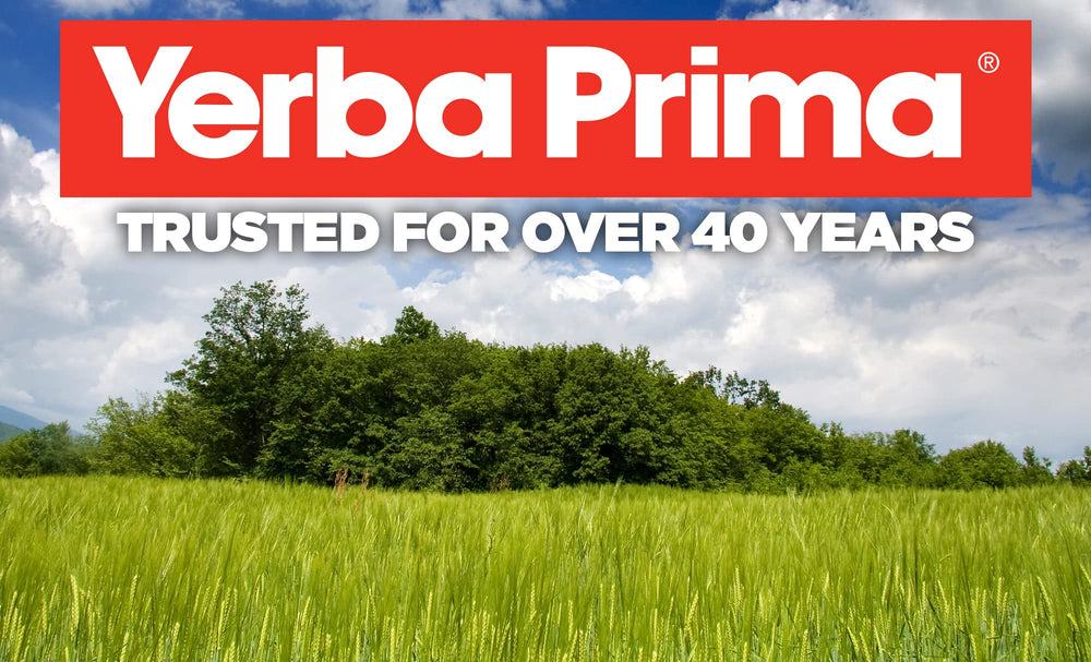 Two-pack packaging of Yerba Prima Psyllium Husk Veg Caps