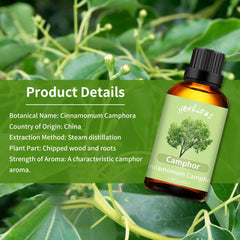 Massage using camphor essential oil diluted in carrier oil