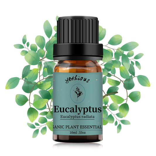 Yethious Eucalyptus Essential Oil 10ml bottle in amber glass