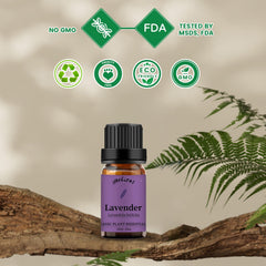 Close-up of Yethious lavender essential oil droplets