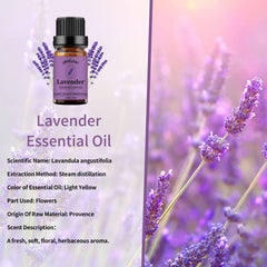 yethious Vanilla Essential Oil 10ml bottle