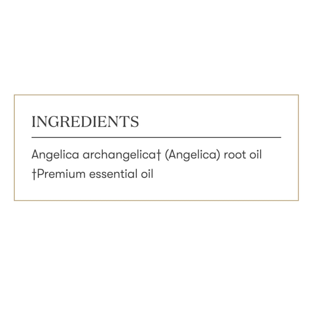 Young Living Angelica dropper bottle captures precise aroma release.