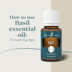 Young Living Basil Essential Oil used in massage for soothing skin contact.