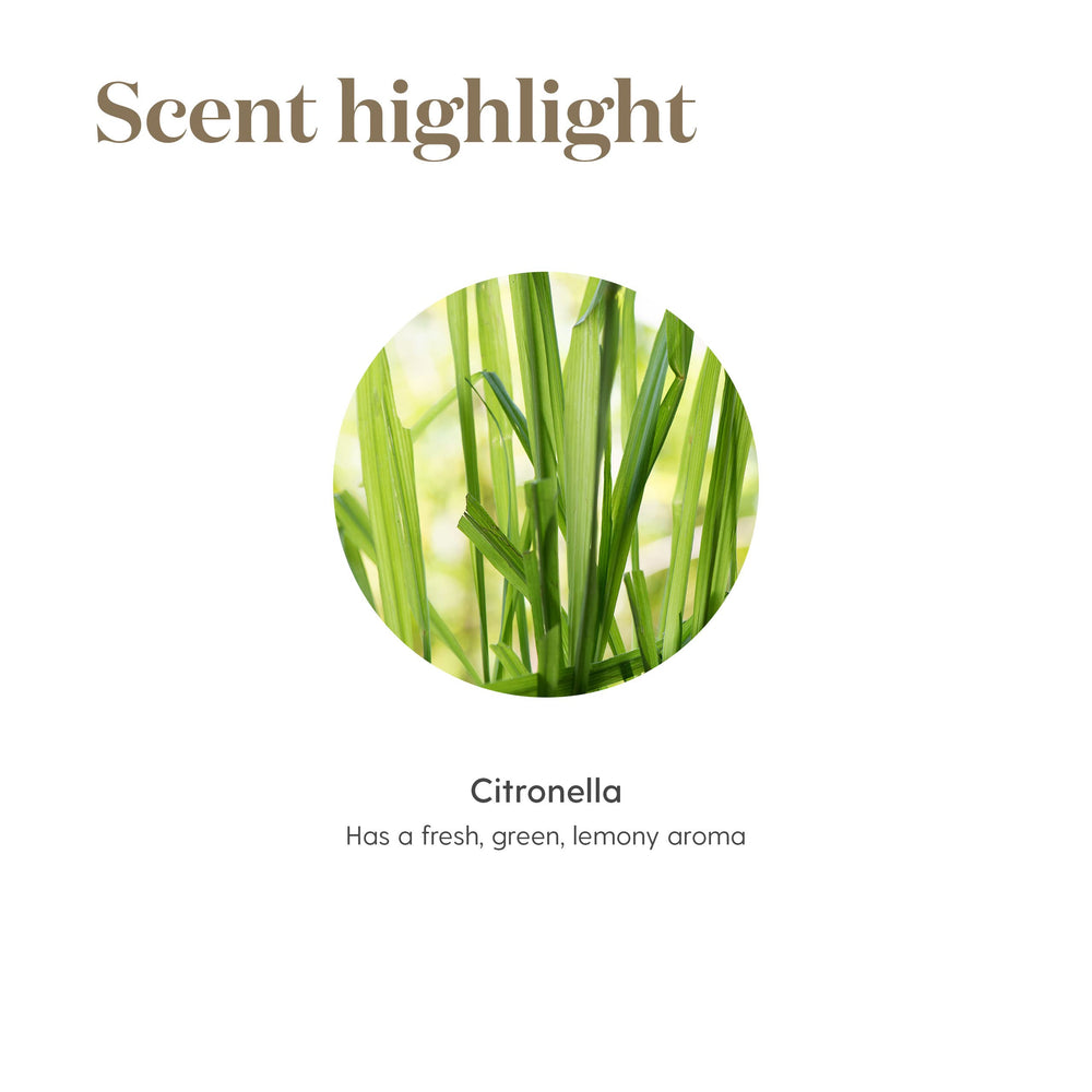 Young Living Citronella on a patio table creating inviting outdoor atmosphere.