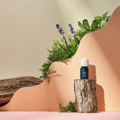 Young Living Cypress Oil in diffuser creates grounding aromatherapy for relaxation.