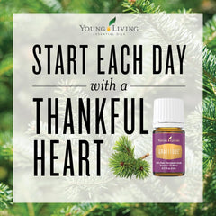 Young Living Gratitude diffusion steam renders a calm, focused ambiance.