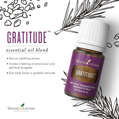 Young Living Gratitude massage-oil application supports mindful self-care.