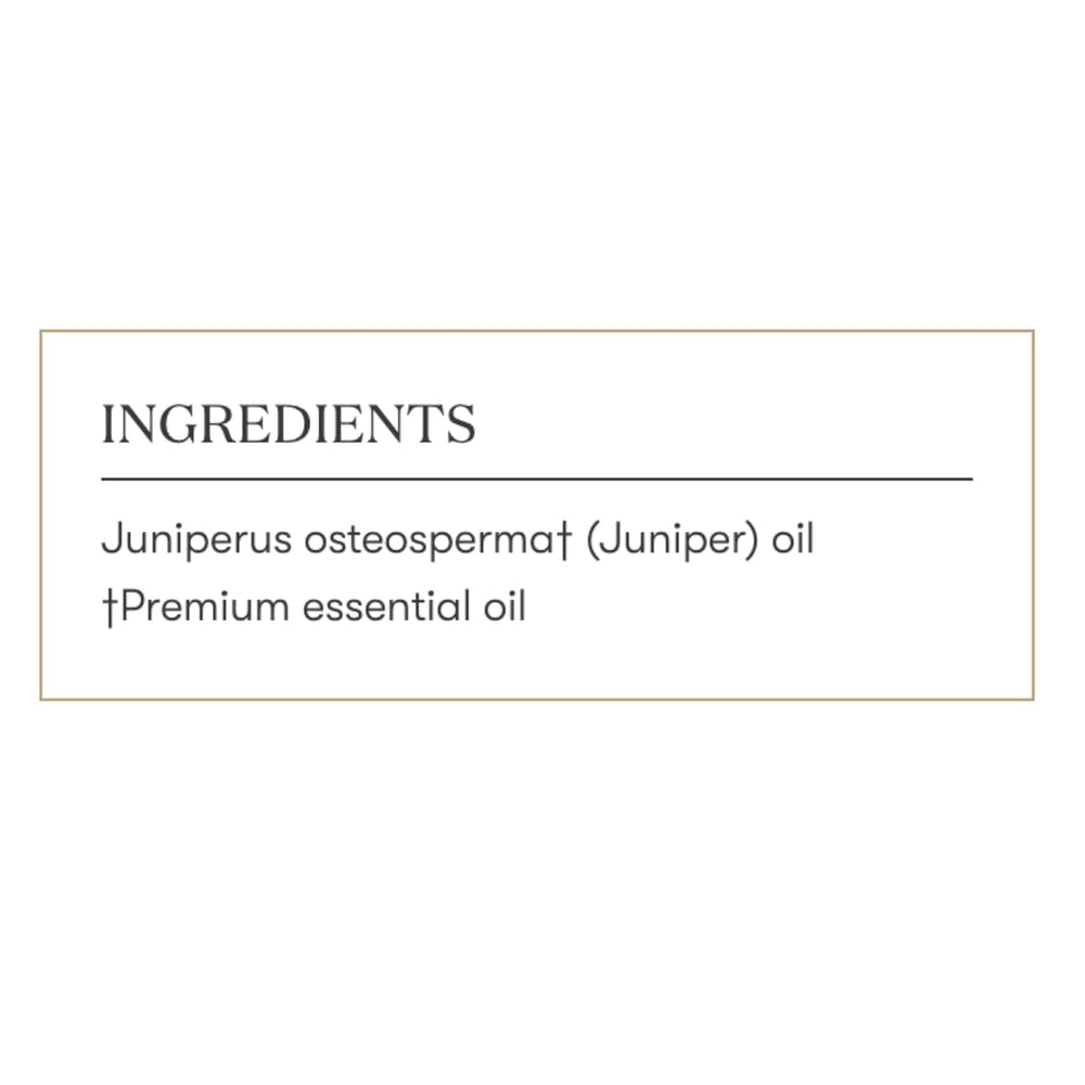 Young Living juniper essential oil diffuser releasing woody scent for focus.