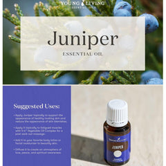 Young Living juniper essential oil massage oil blend for relaxing sessions.