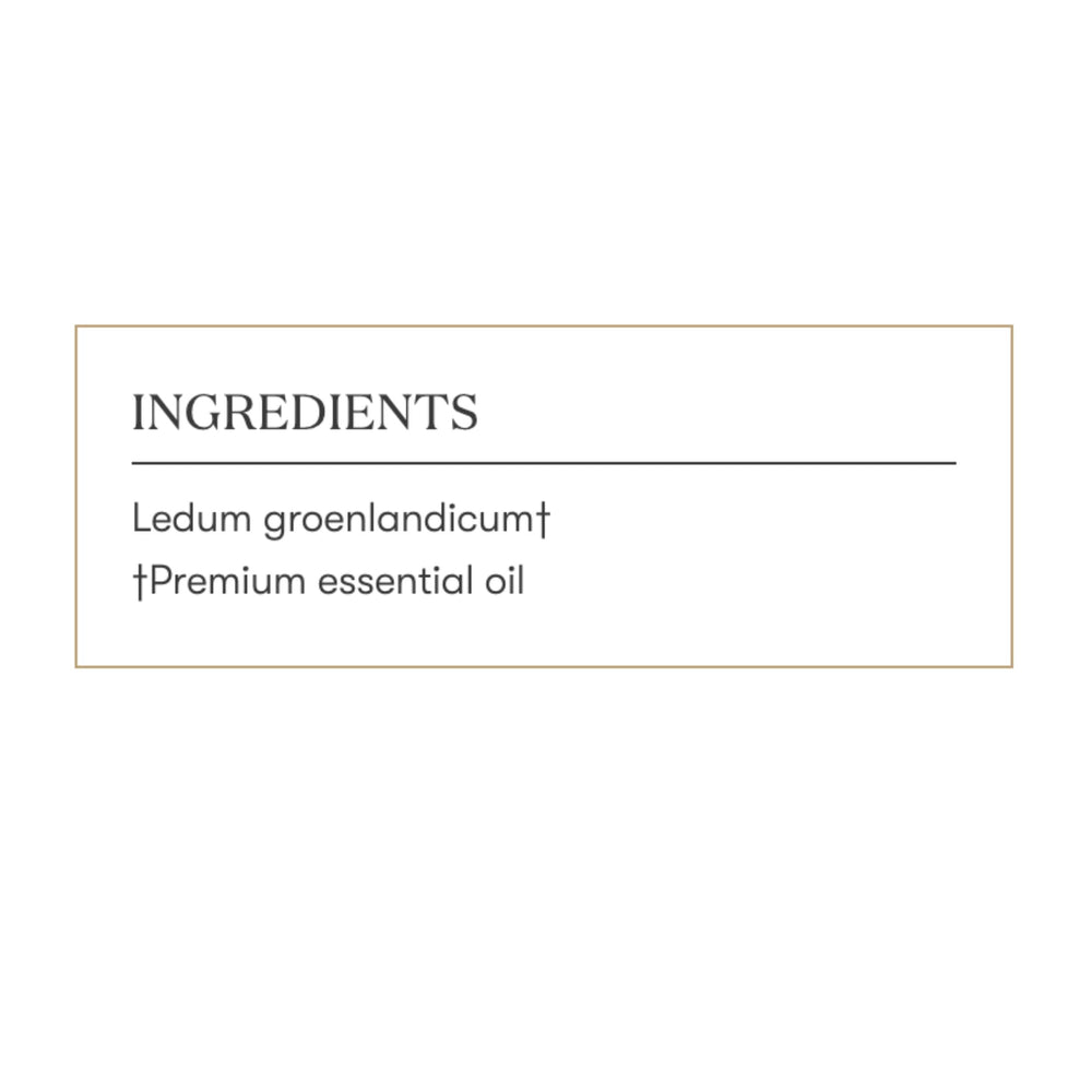 Young Living Ledum premium oil adding serenity to home spa rituals.