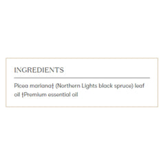 Young Living Northern Black Spruce diffuser use showing inviting, uplifting scent for focus and refreshment.