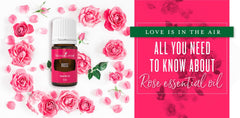 Young Living Rose Essential Oil being poured, enabling fragrance layering and DIY blends