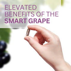 Heart health concepts related to Muscadine grape seed