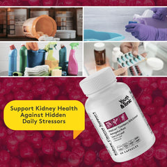 Usage instruction showing 1-2 capsules daily with meals