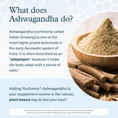 Supplement facts panel for Youtheory Ashwagandha