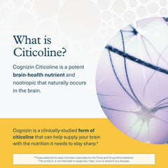 Cognizin citicoline shown on Lion's Mane Plus label
